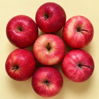 Apples - Premium Gala (Schnico Red Gala, Smaller Size)